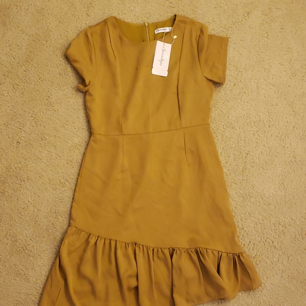 Dress (new with tag)
